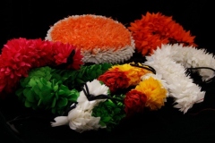 WhatsApp-Image-2024-06-29-at-6.25.20-PM