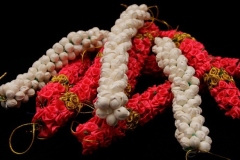 WhatsApp-Image-2024-06-29-at-6.38.09-PM